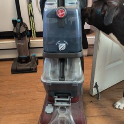 Carpet Cleaner Hoover PowerScrub deluxe