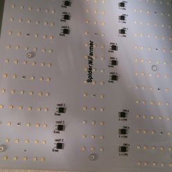 Grow Light Spider Farms