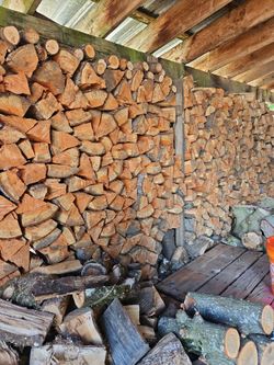 Douglas fir Firewood