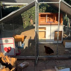 Chicken Coop Set Up 