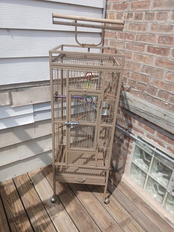 Bird Cage