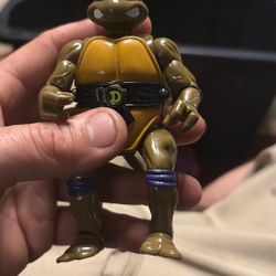 Teenage Mutant Ninja Turtles
