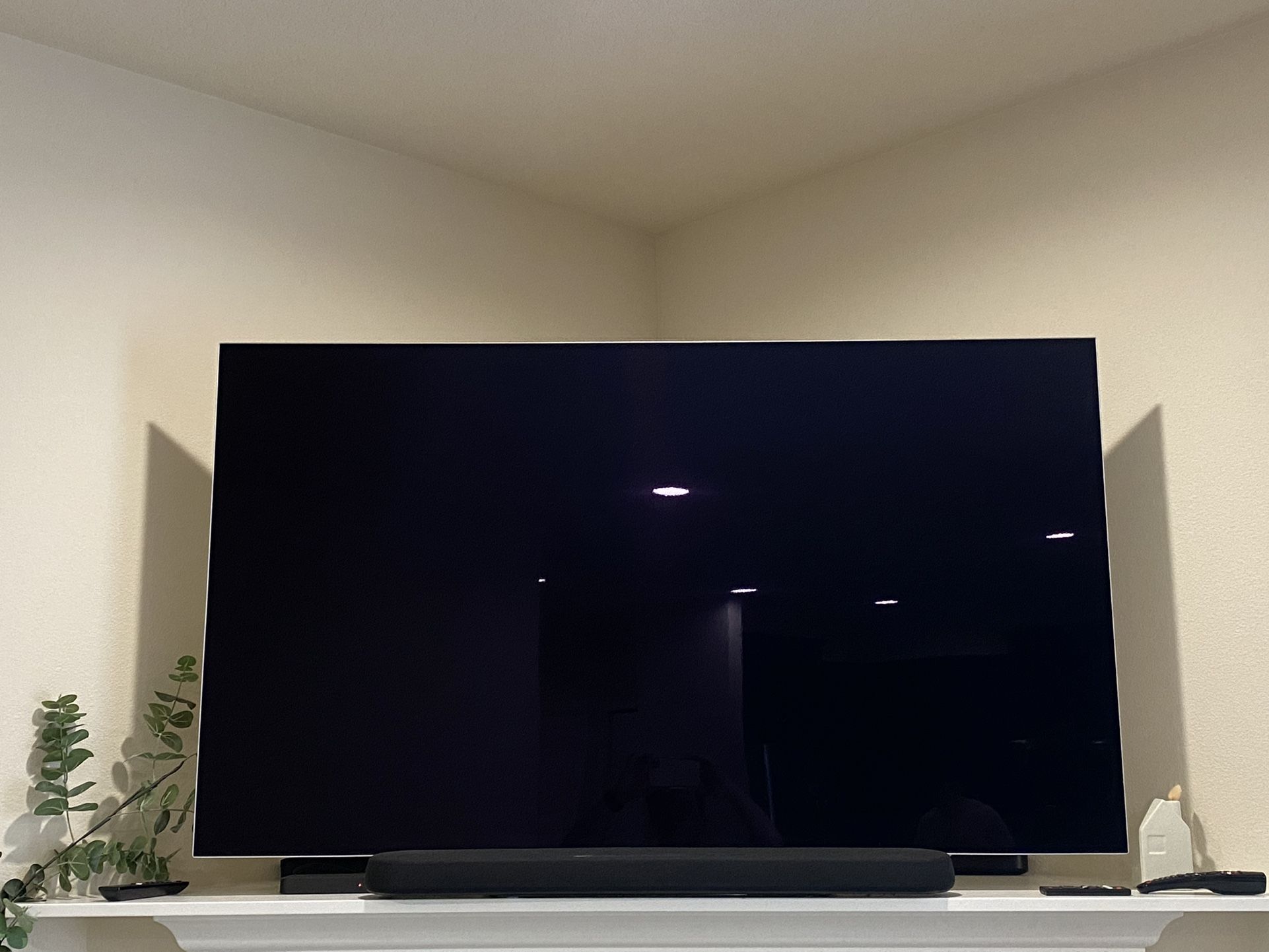 65 Inch OLED TV