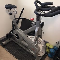 Sunny Magnetic Exercise Bicycle