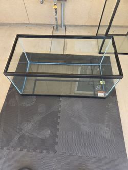 OBO 40 gallon breeder Terrarium/fish tank. Comes with screen hinged top. $75.00 obo