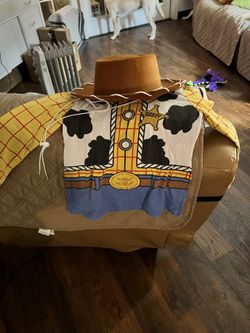 Little Boys, Woody, Toy, Story Hat, And Shirt
