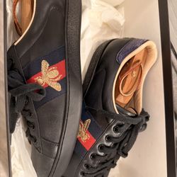 ORIGINAL ACE GUCCI SNEAKER MEN