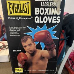Boxing Gloves ( Adult)