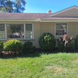 House Painting Service 