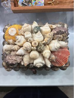 Real seashell jewelry box