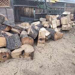 Free Ash Tree Wood
