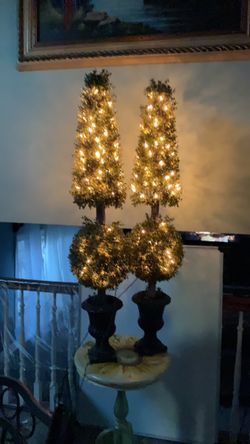 Lighted trees