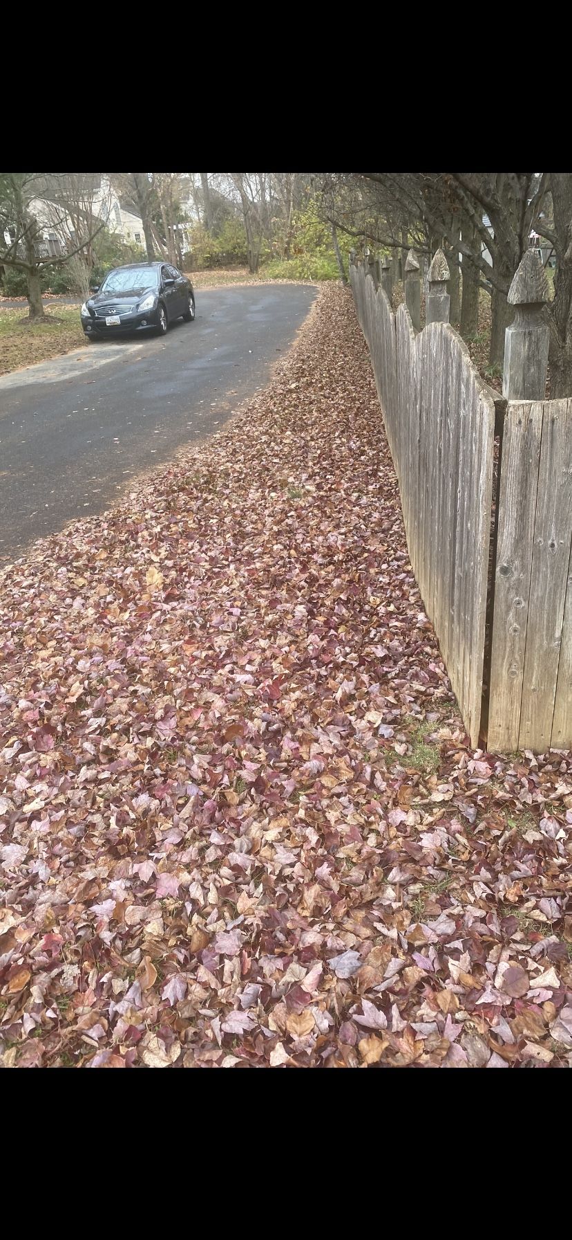 Leaf Recollect