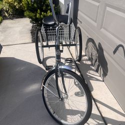 Adult Trike 
