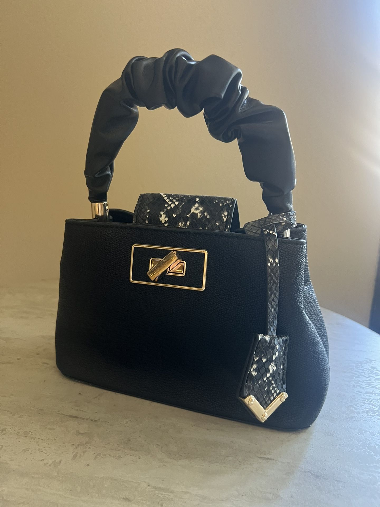 Aldo Black Purse