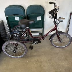 Workman Trifecta Folding Trike