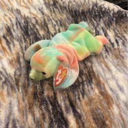 Sammy, Beanie Baby, Rare, 1999