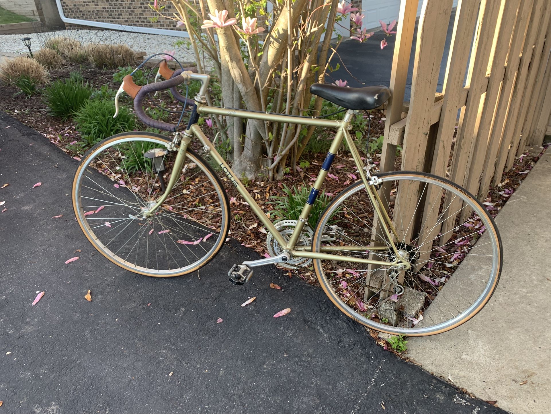 Lotus Road Bike
