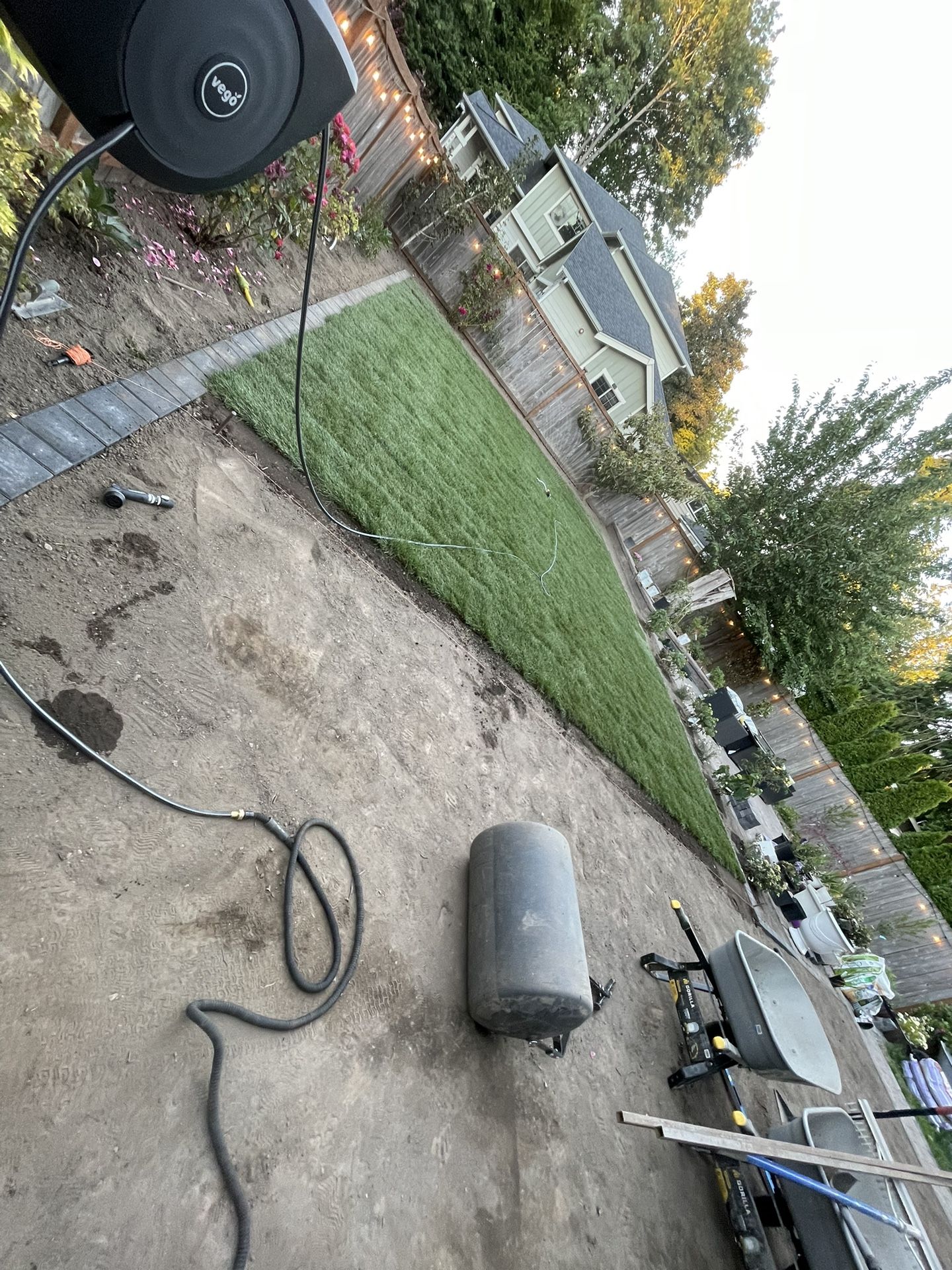 Dreaming Home New Sod Grass