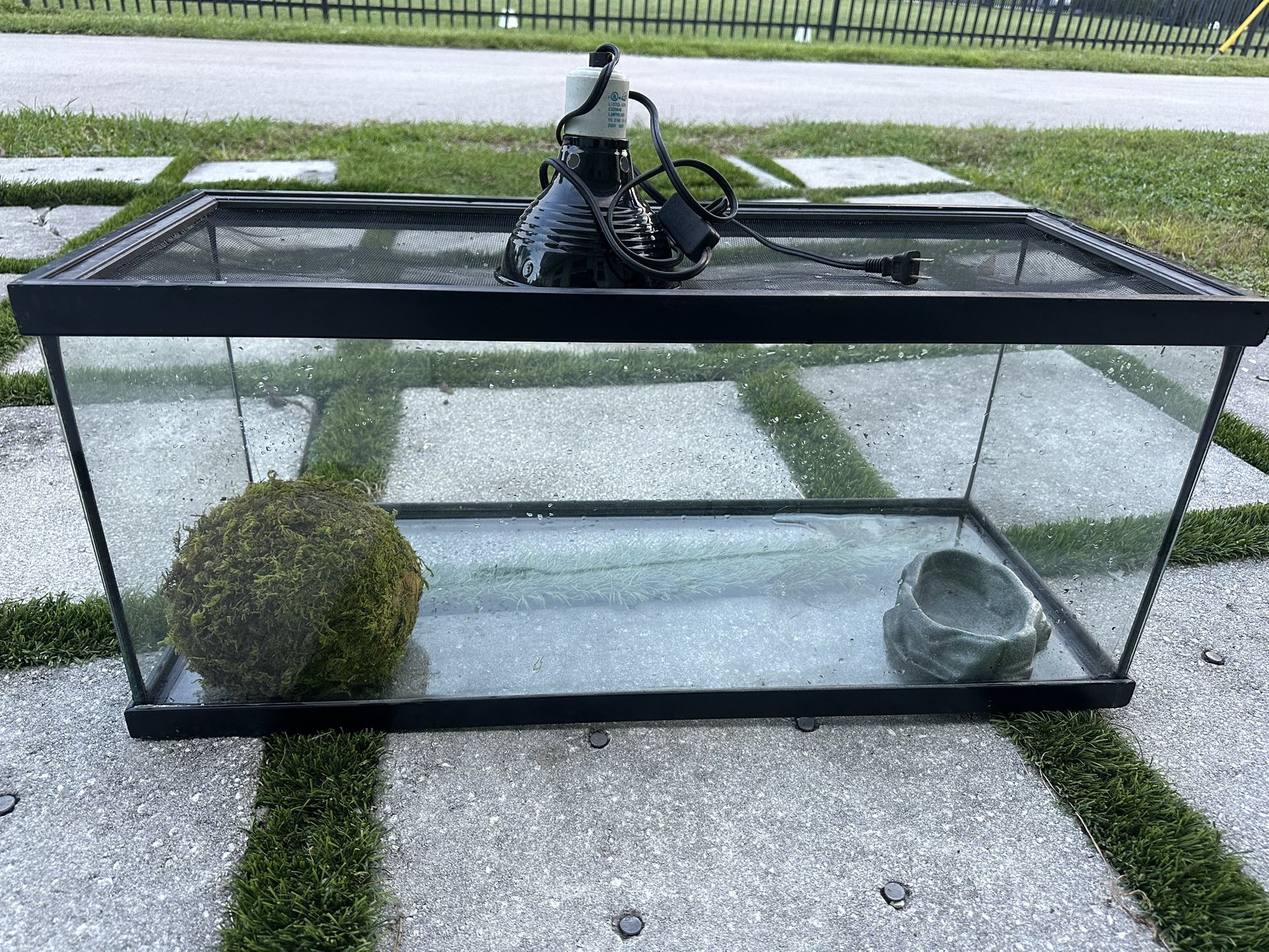 20 Gallon Long Terranium Tank W/top, Light And Decor