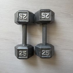 25 Lbs Dumbbells 