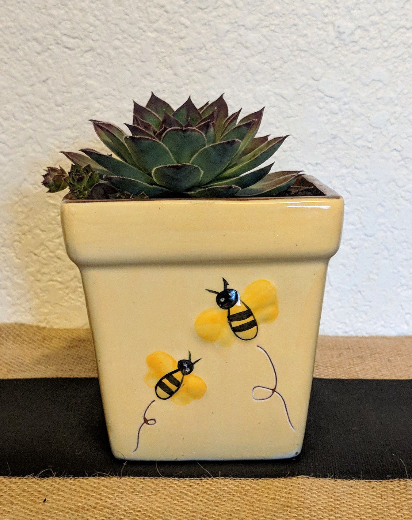 4" yellow ceramic glazed planter with bees & succulent plant