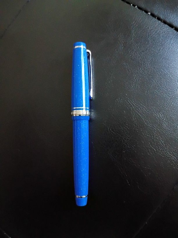 Fountain Ink Pen