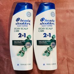 Head Shoulders 2in1 Shampoo Conditioner 
