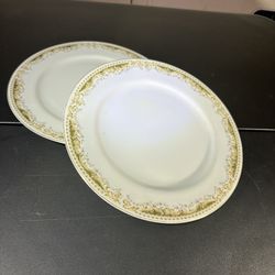 Queen Anne Signature Collection Fine China Dinner Plate
