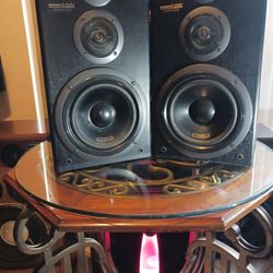 8' PIONEER SPEAKERS 19INCH TALL-11INCH WIDE