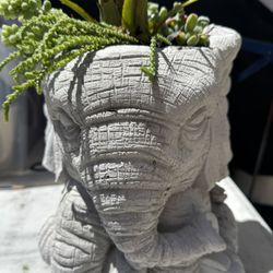 Elephant Statue With Succulents 