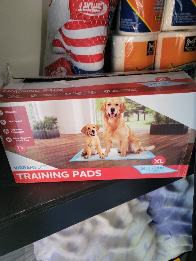 Free Dog Training Pads