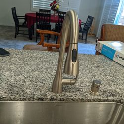 Moen Faucet