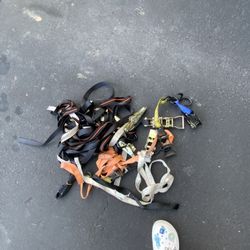 CargoSmart Cambuckle Ratchet Tie Down Strap 