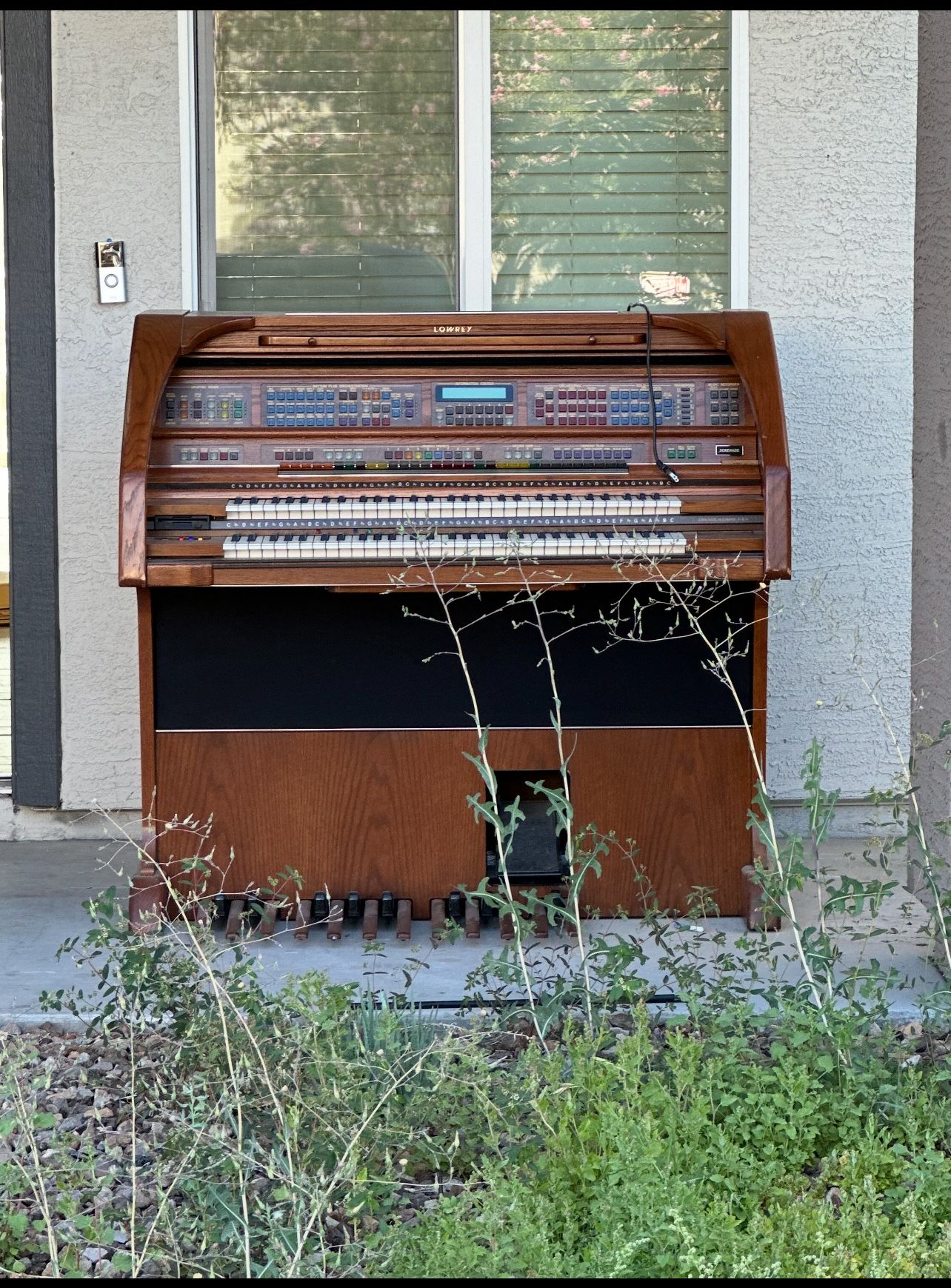 Free Piano