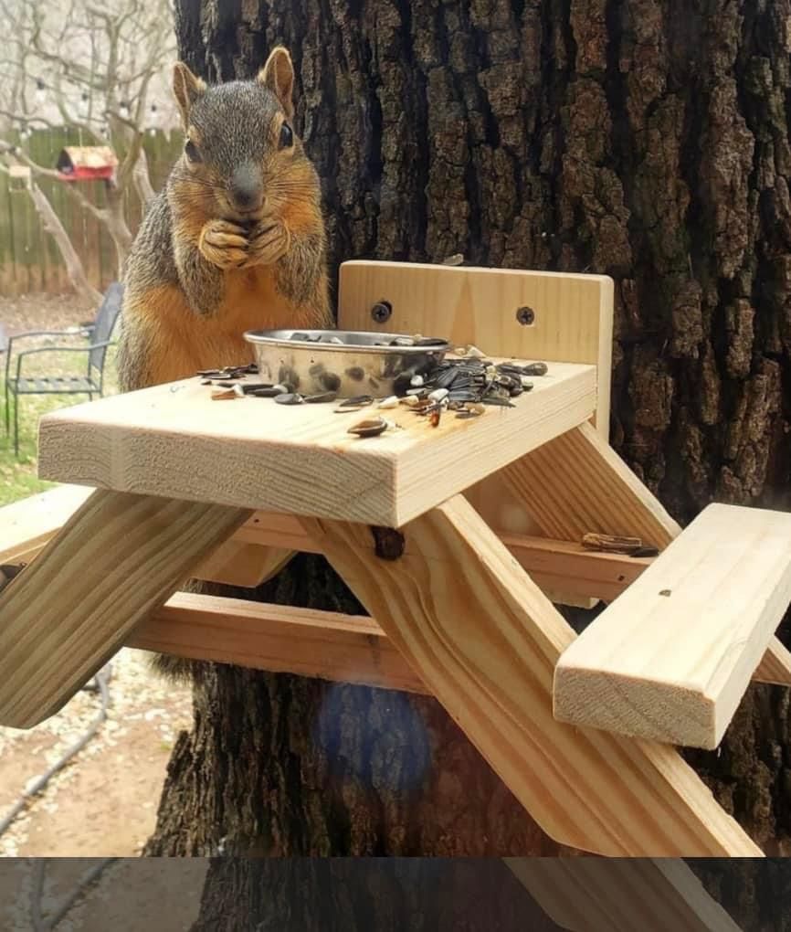 Squirrel feeder Tables    Mounting Hardware Included