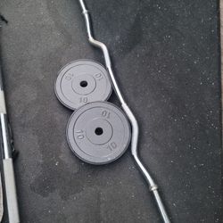 curl Bar N Weights