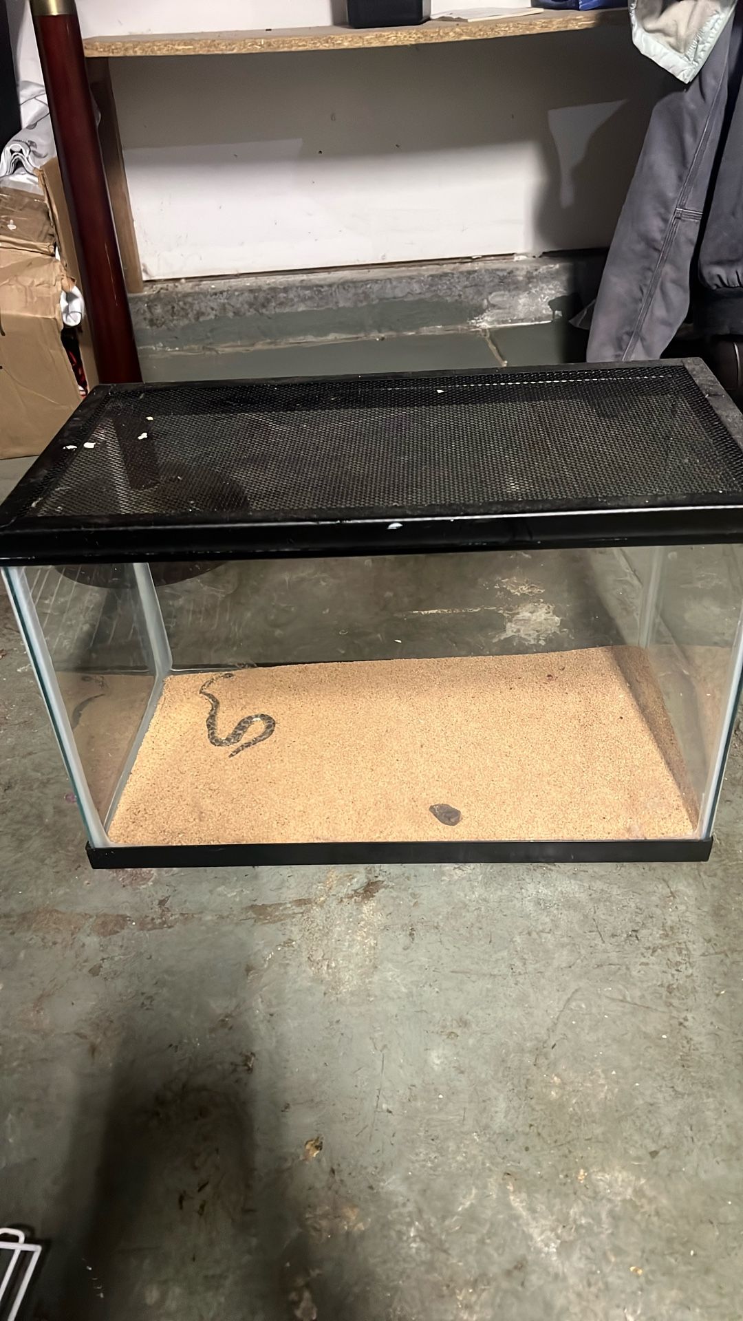 Reptile Glass Container 