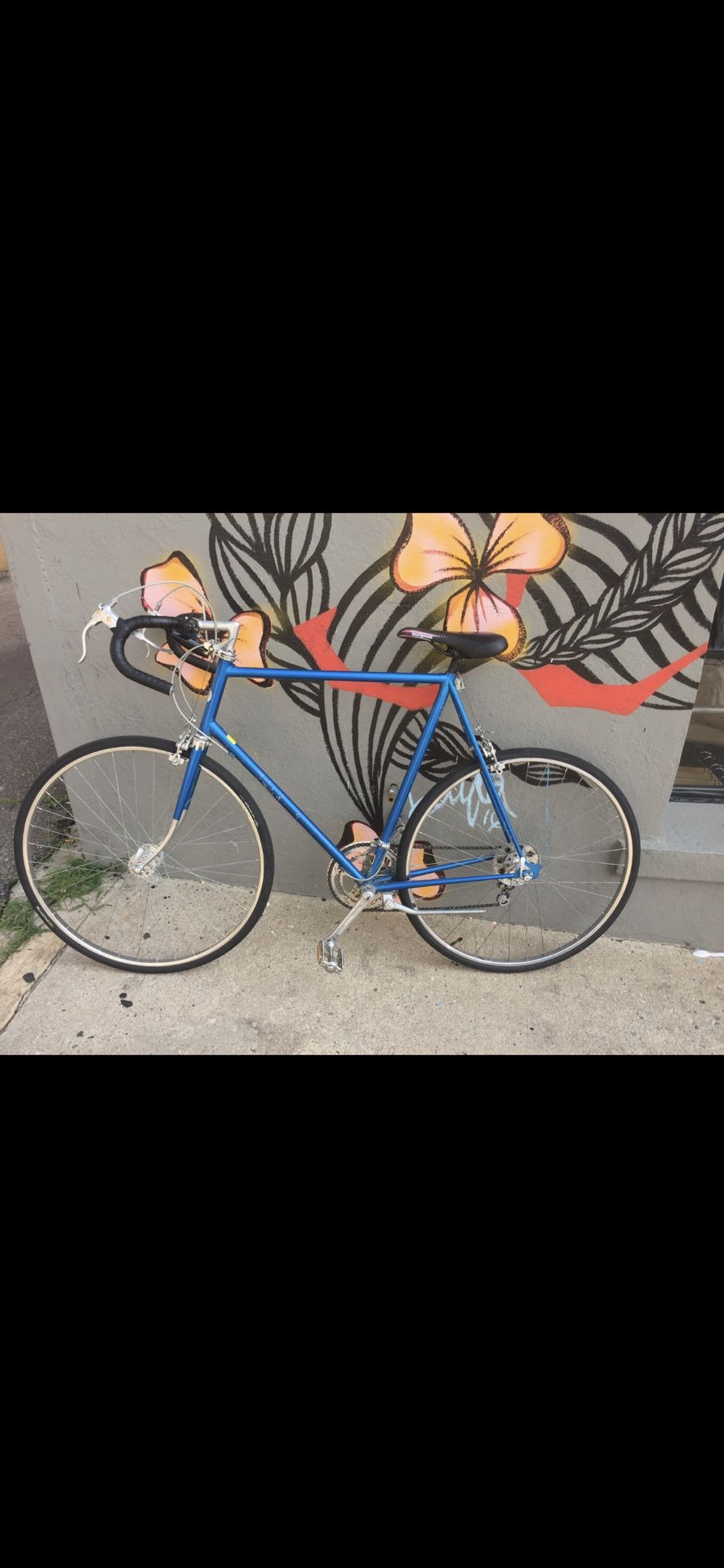 Used 70’s Vintage Schwinn road bike