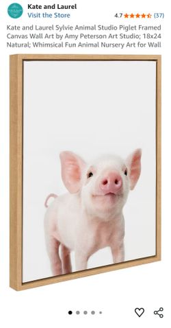 Framed wall Art