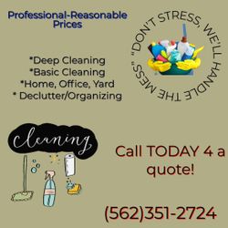 professional CLEANING -FAST at A GREAT price