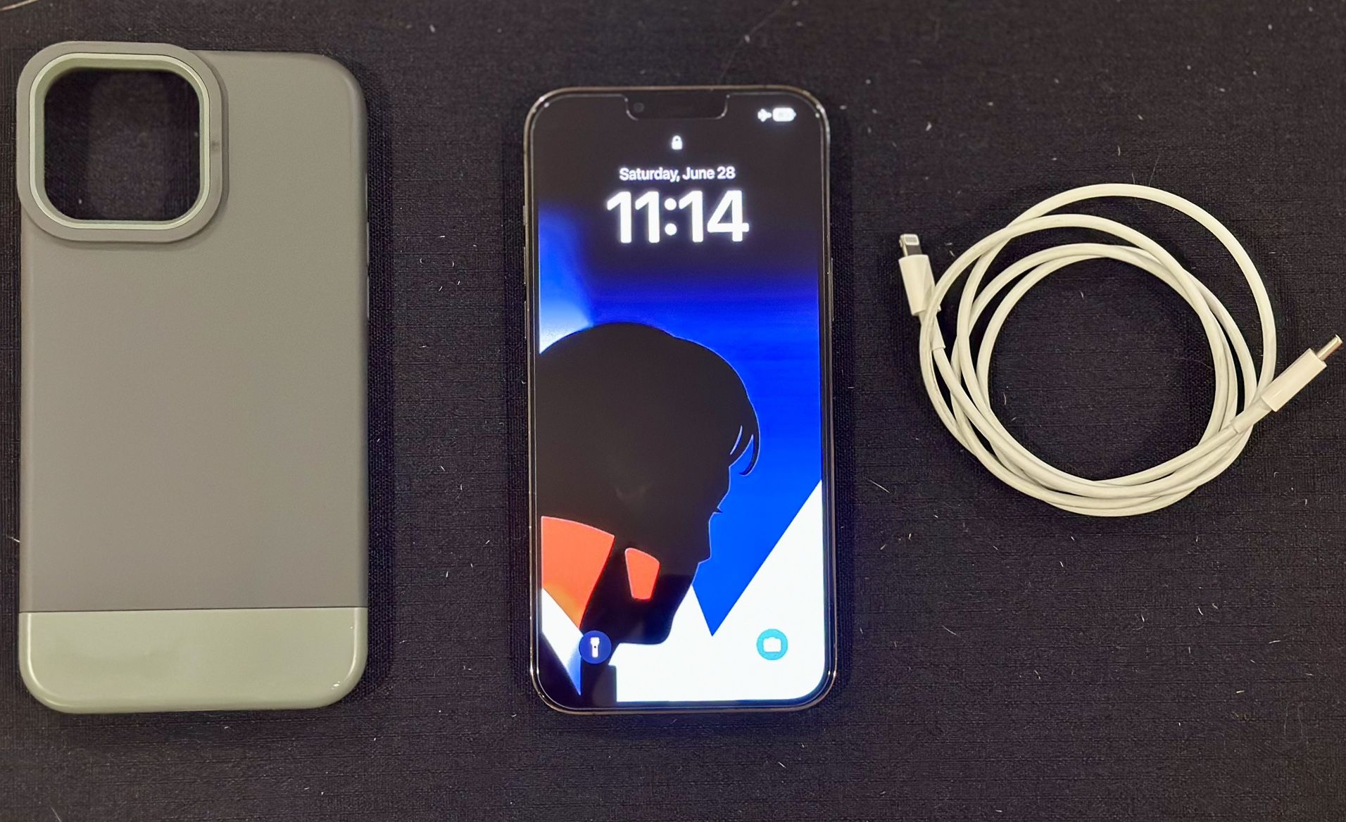 iPhone 13 Pro Max