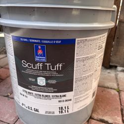 Paint Bucket 