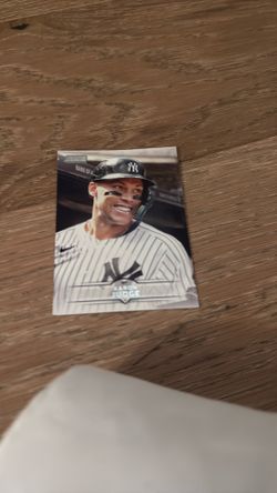 Aaron Judge