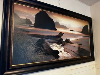 Large portrait for sale 3 x 4’