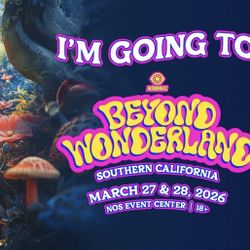 BEYOND WONDERLAND