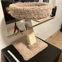 Cat Tree , 
