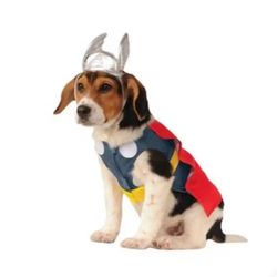 Dog Avengers Thor Costume