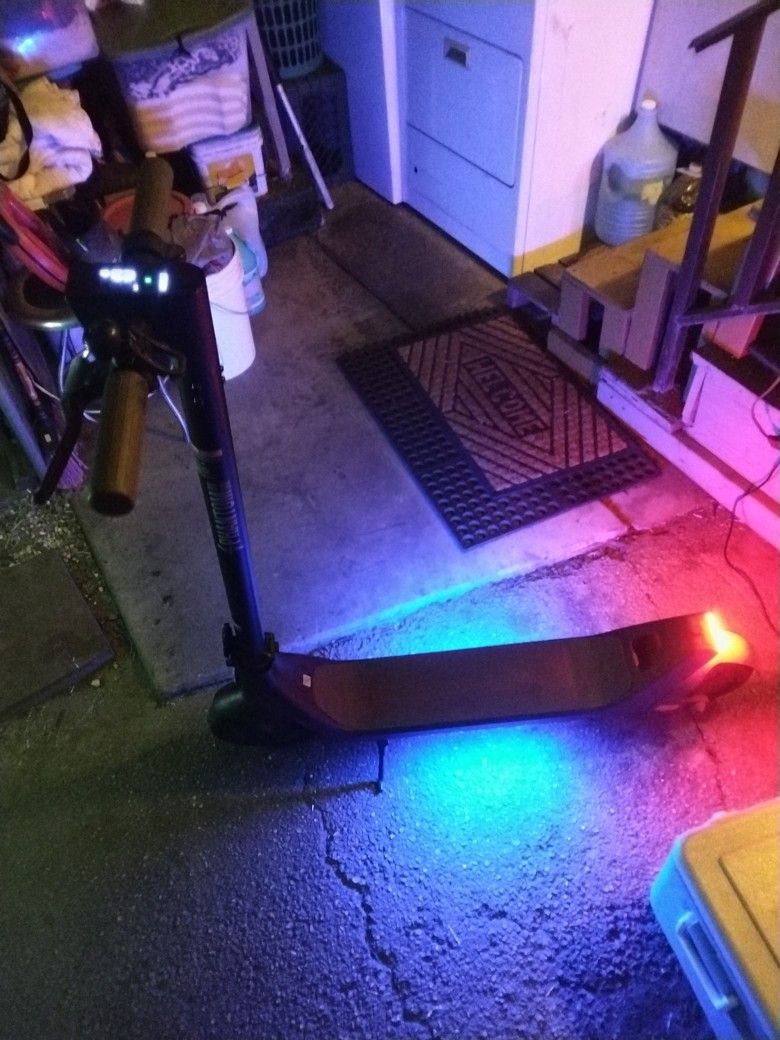 Electric Scooter