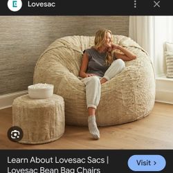 Lovesac Chair 